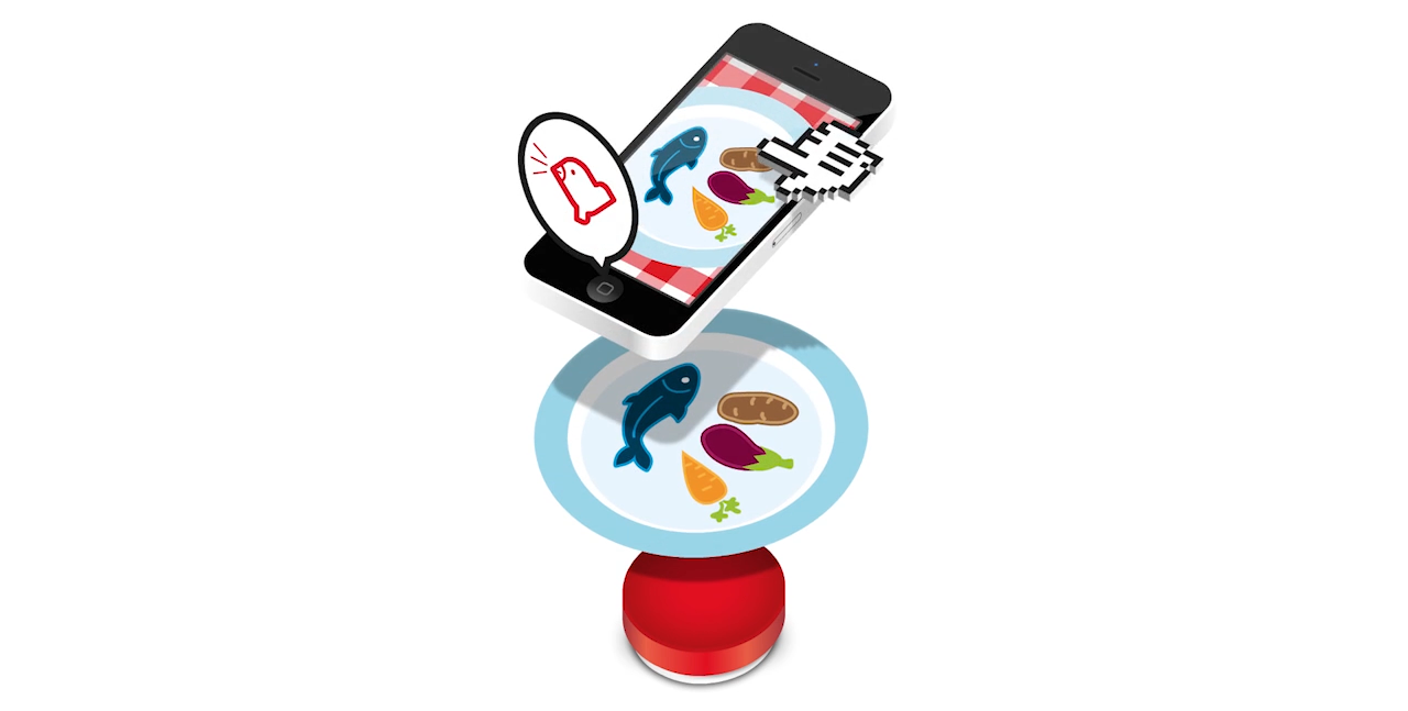 Animated yuScale mobile app, scale and a dish on a plate.