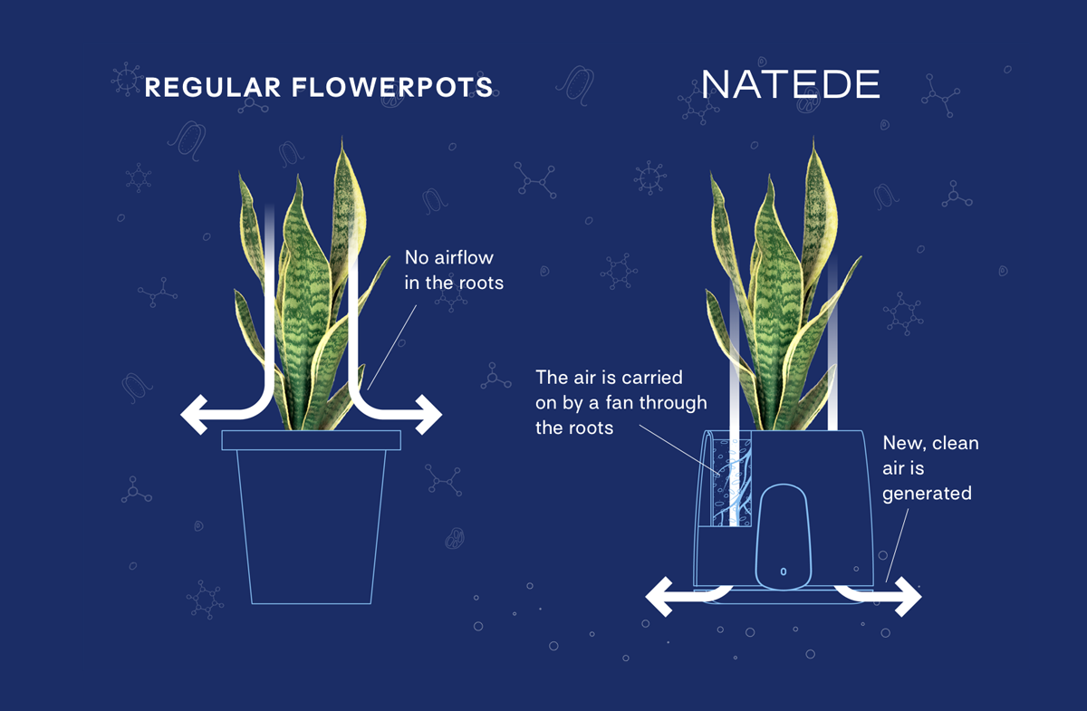 Clairy air purifier compared with regular flower pot on a dark blue background.