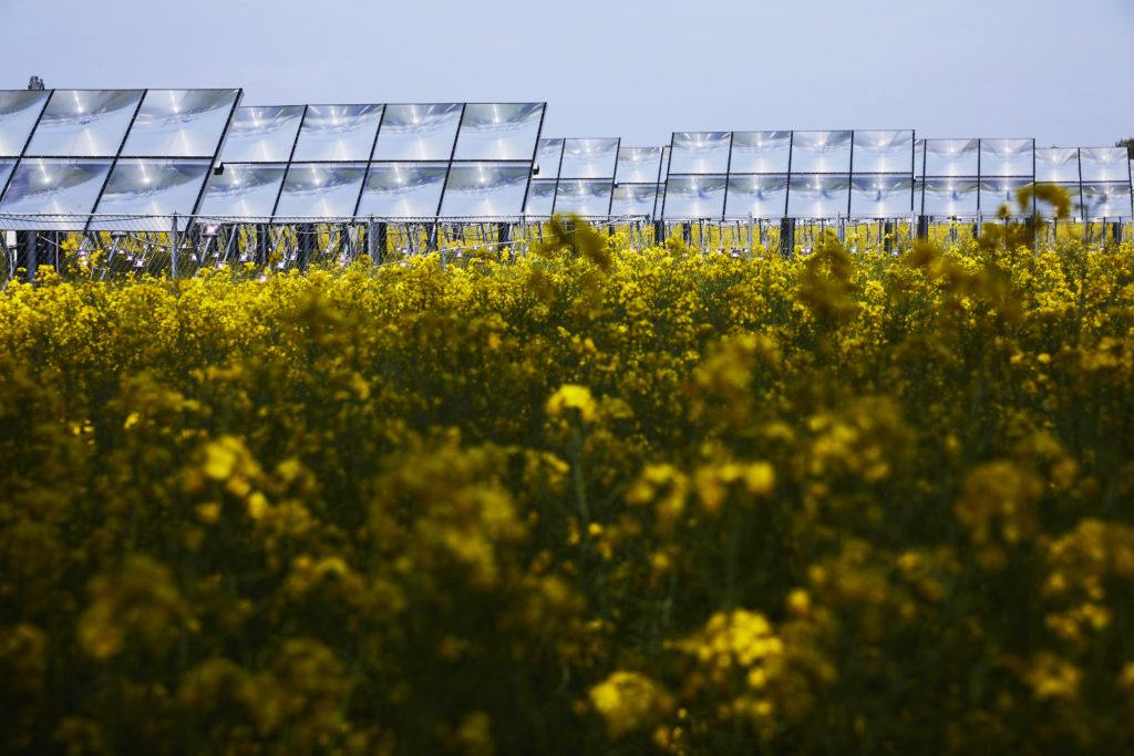 Heliac's solar fields in the Netherlands. Photo courtesy of Thomas Tolstrup.